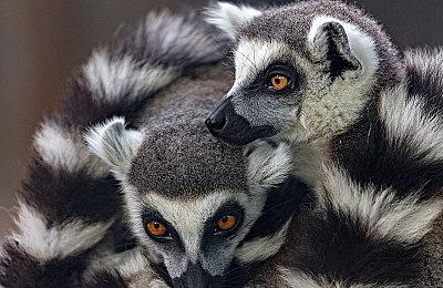 Fami通新一周销量榜 《马力欧派对：超级巨星》三连冠