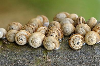 《战地2042》4.0更新日志 终于加入了语音功能